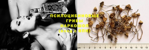 меф Долгопрудный