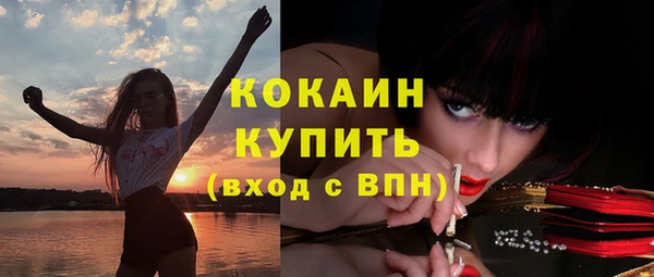 меф Долгопрудный