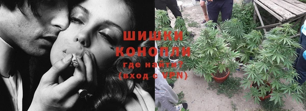 меф Долгопрудный
