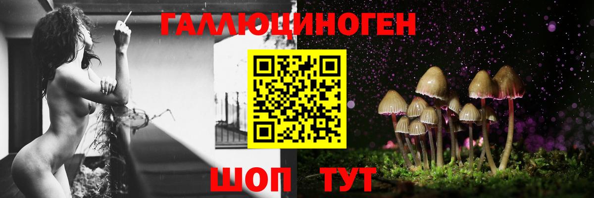 Галлюциногенные грибы Cubensis  Алексин  Псилоцибиновые грибы мицелий 