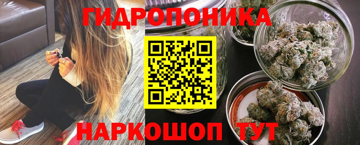 Марихуана AK-47  Бошки марихуана OG Kush  Вход с VPN  Алексин 